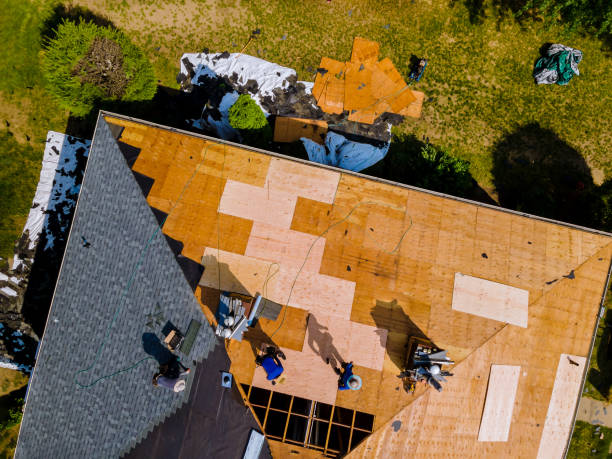 Best Local Roofing Companies  in Roberta, GA