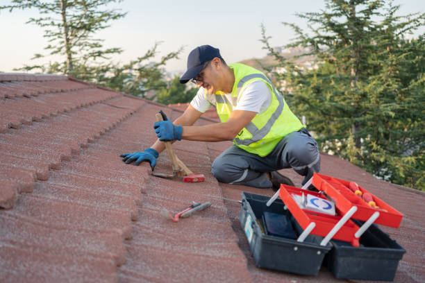 Best Roof Waterproofing Services  in Roberta, GA