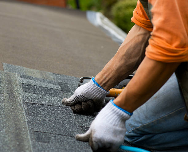 Best Shingle Roofing Installation  in Roberta, GA